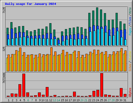 Daily usage for January 2024
