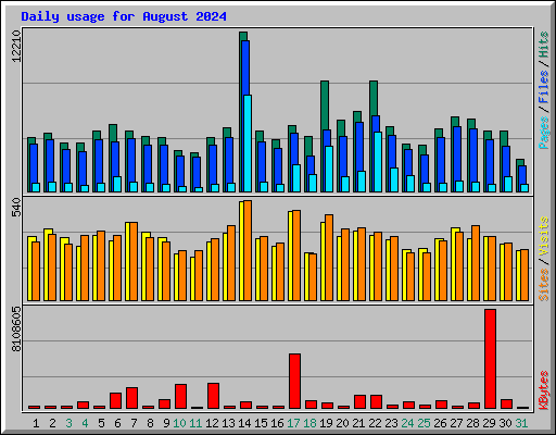 Daily usage for August 2024