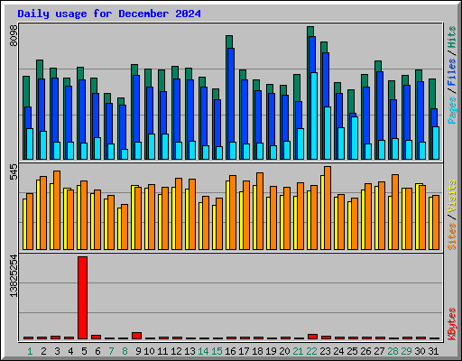 Daily usage for December 2024