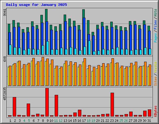 Daily usage for January 2025