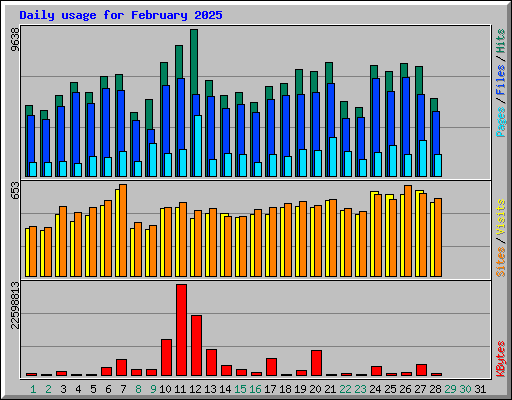 Daily usage for February 2025