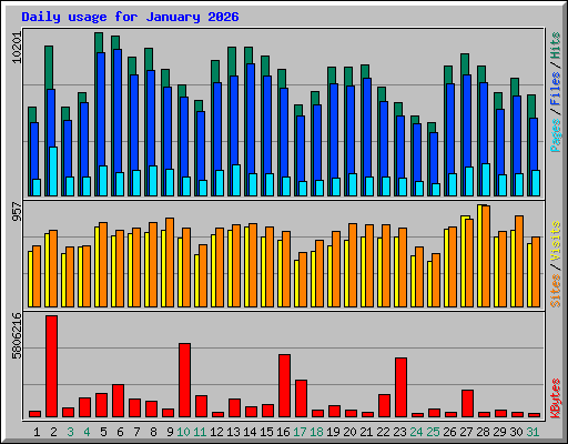 Daily usage for January 2026