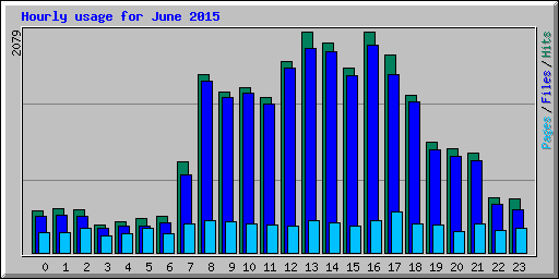 Hourly usage for June 2015