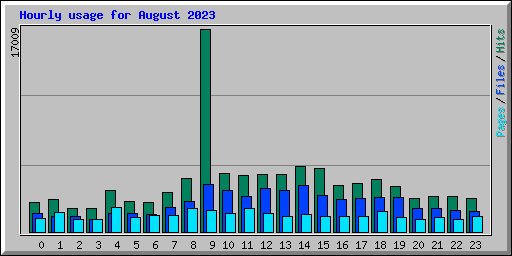 Hourly usage for August 2023
