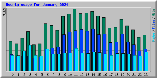 Hourly usage for January 2024