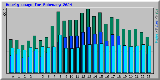 Hourly usage for February 2024