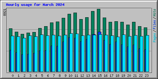 Hourly usage for March 2024