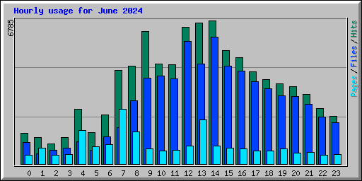 Hourly usage for June 2024