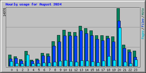 Hourly usage for August 2024