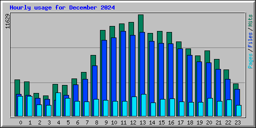 Hourly usage for December 2024