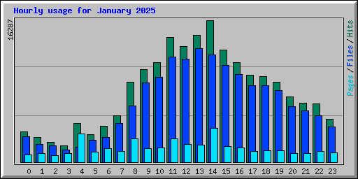 Hourly usage for January 2025