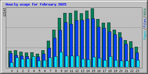 Hourly usage for February 2025