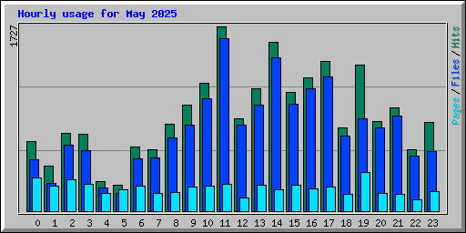 Hourly usage for May 2025