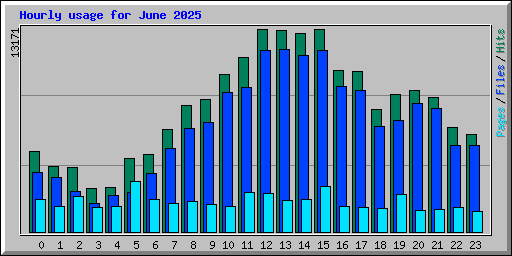 Hourly usage for June 2025