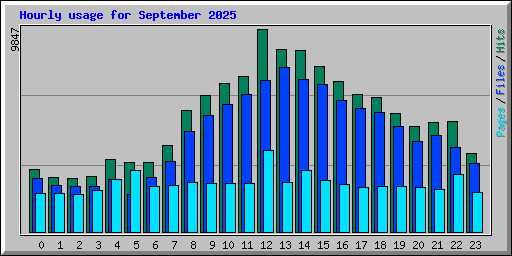 Hourly usage for September 2025