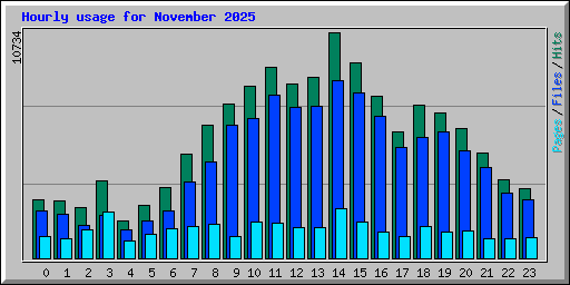 Hourly usage for November 2025