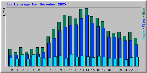 Hourly usage for December 2025