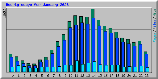 Hourly usage for January 2026